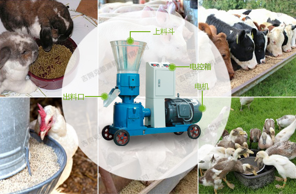 平模飼料顆粒機(jī) 平模飼料顆粒機(jī)